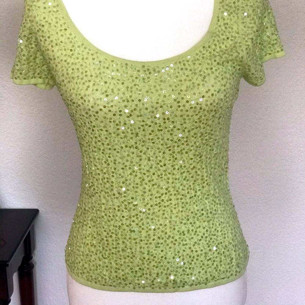 Stunning new short sleeved metallic sweater